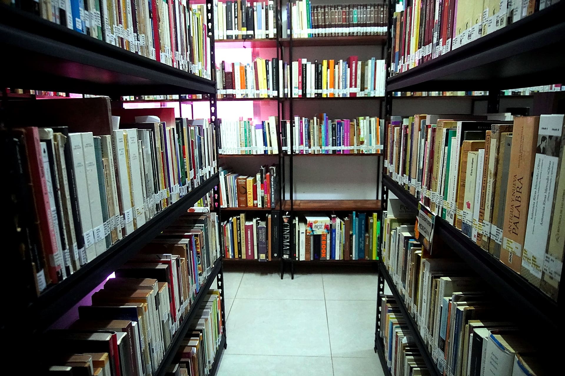 Estanterías de literatura de la Biblioteca Manuel Fernández Trava